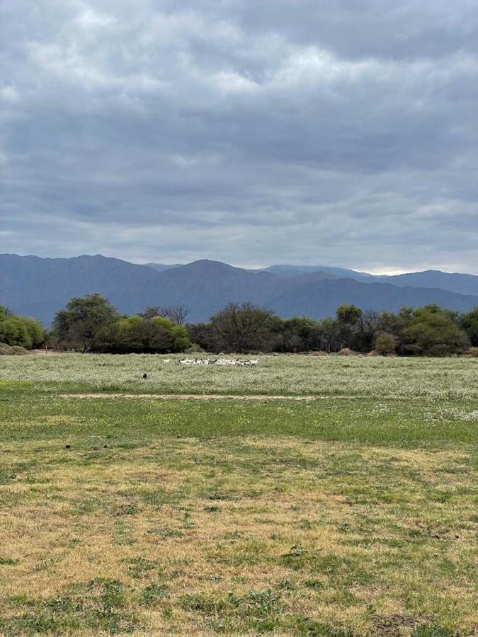 ホテル La Vaca Tranquila サン・カルロス エクステリア 写真